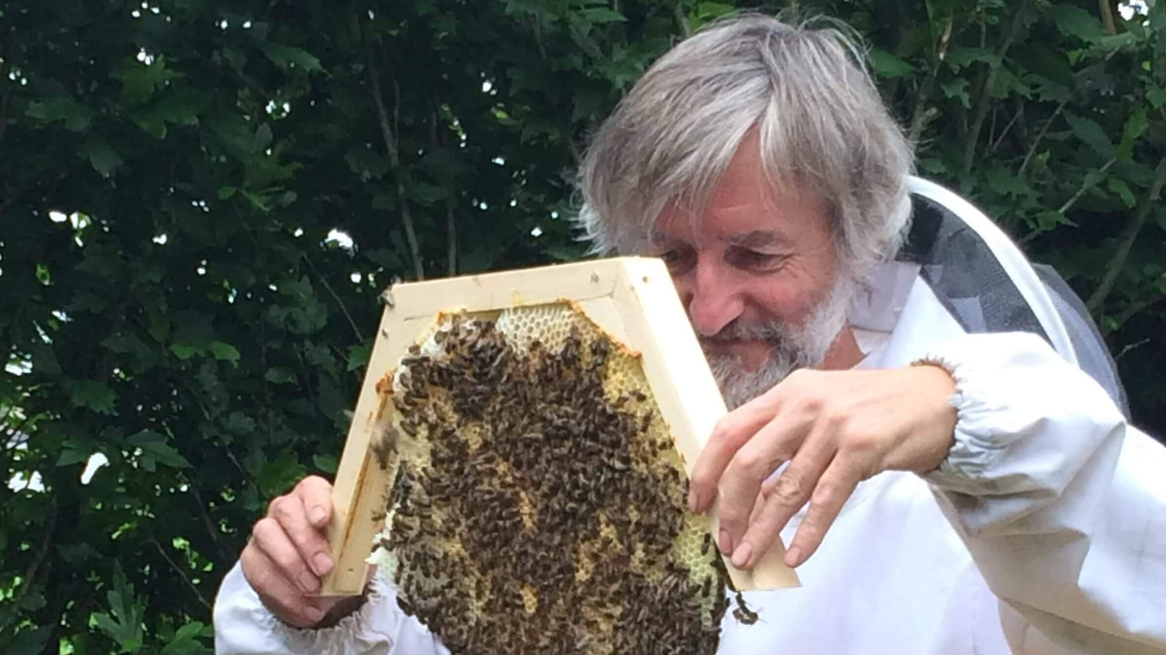 Lees meer over het artikel Wat met bijen die sterven?  Bedenkingen door Jef.