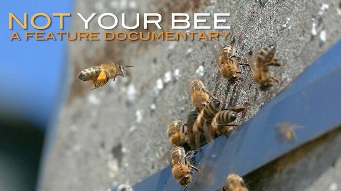 Je bekijkt nu Steun je de nieuwe (Belgische) bijenfilm: “NOT YOUR BEE” ?