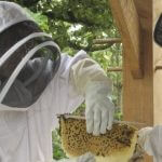 Formation "abeilles noire" à Virelles