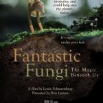 GEANNULEERD: Fantastic Fungi - Film - Gent