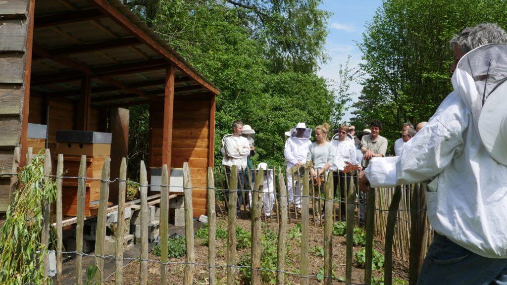 Je bekijkt nu Formation apiculture naturelle en Wallonie – Pratique