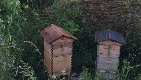 Je bekijkt nu Formation à l’apiculture écologique en Suisse